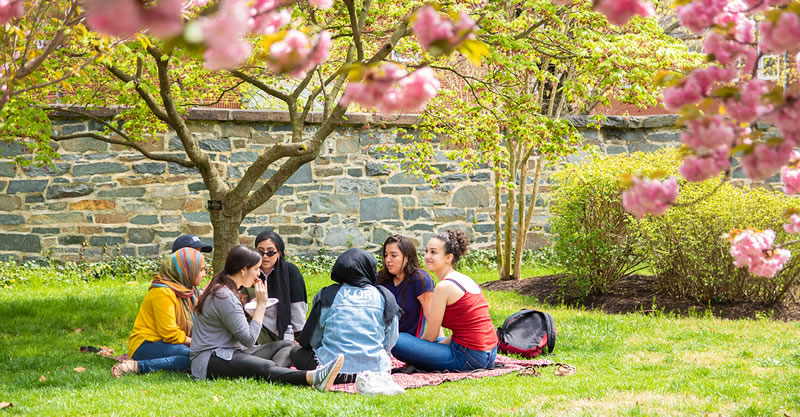 Feature Experiential Learning Collaboration